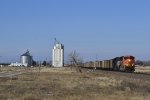 BNSF 8775 - Roggen